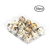 Cajas de huevos de codorniz - Bandeja de huevos apilable con tapa- caja de almacenamiento Organizador de contenedor de…